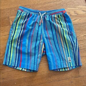 Psycho Bunny Kids Swim Trunks - Blue and Multicolor Stripes